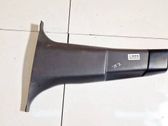 Pilar (B) (superior)