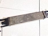 Chłodnica powietrza doładowującego / Intercooler