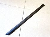 Listón embellecedor de la puerta delantera (moldura)