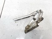 Bisagras del capó/tapa del motor