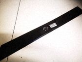 Listón embellecedor de la puerta delantera (moldura)