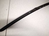 Rear door glass trim molding
