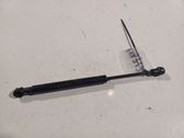 Front bonnet/hood damper/strut