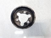 Polea de la bomba de agua