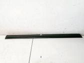 Takaoven lasin muotolista