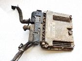 Unidad de control/módulo del motor