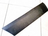 Listón embellecedor de la puerta delantera (moldura)