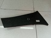 Pilar (B) (superior)