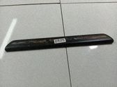 Moldura protectora del borde delantero