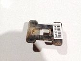 Takapuskurin kannake
