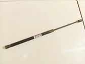 Tailgate/trunk strut/damper