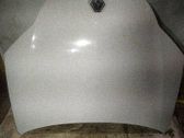 Engine bonnet/hood