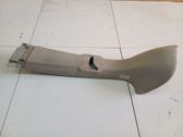 (C) pillar trim