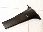 Pilar (B) (superior)