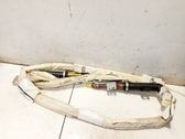 Roof airbag
