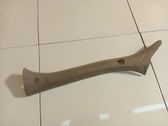 (C) pillar trim