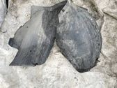 Radlaufschale Radhausverkleidung vorne