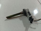 Interior temperature sensor