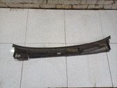 Moldura del limpia
