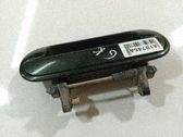 Manecilla externa puerta delantera