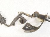 Sensor / Fühler / Geber