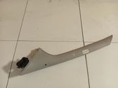(C) pillar trim