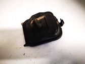 Headlight/headlamp dust cover