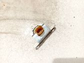 ESP Drehratensensor Querbeschleunigungssensor