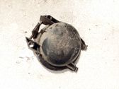 Deckel Abdeckung Scheinwerfer
