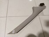 (C) pillar trim