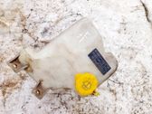 Réservoir de liquide lave-glace