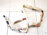 Airbag del techo