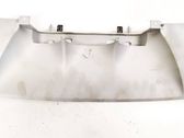 Dashboard trim