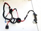 Other wiring loom