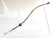 Línea de cable puerta delantera