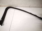 Other front door trim element