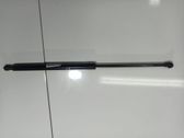 Tailgate/trunk strut/damper