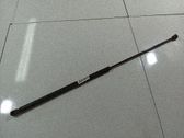 Amortiguador/puntal del maletero/compartimento de carga