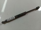 Tailgate/trunk strut/damper
