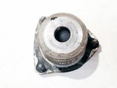 Coil spring mount