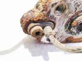 ABS Sensor hinten