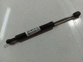 Tailgate/trunk strut/damper