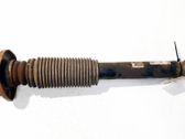 Rear shock absorber/damper