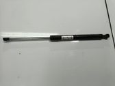 Tailgate/trunk strut/damper