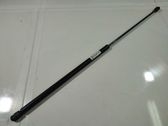 Front bonnet/hood damper/strut
