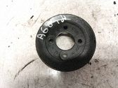 Polea de la bomba de agua