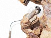 ABS Sensor