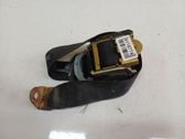 Cinturón trasero