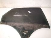 Luna de la puerta trasera