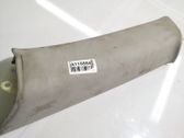 (D) pillar trim (bottom)